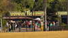 2012-01-16:Disney Animal Kingdom
