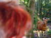 20120116093122-DSCF8271.JPG