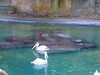 20120116093239-DSCF8275.JPG