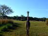 20120116094247-DSCF8291.JPG