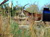 20120116094319-DSCF8293.JPG