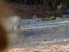 20120116094739-DSCF8299.JPG