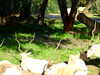 20120116094802-DSCF8300.JPG