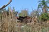 20120116100224-DSC_0227.JPG
