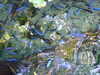 20120116100315-DSCF8301.JPG