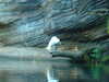 20120116100459-DSCF8304.JPG