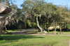20120116100550-DSC_0232.JPG