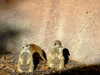 20120116100659-DSCF8306.JPG