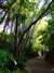 20120116112043-DSCF8315.JPG