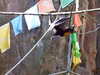 20120116112224-DSCF8318.JPG