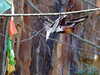 20120116112228-DSCF8319.JPG