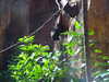 20120116112435-DSCF8321.JPG