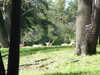 20120116113134-DSCF8334.JPG