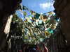 20120116113242-DSCF8336.JPG