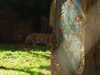 20120116113322-DSCF8338.JPG