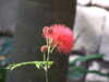 20120116113428-DSCF8342.JPG