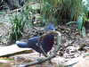 20120116113647-DSCF8345.JPG