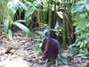 20120116113653-DSCF8346.JPG