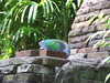 20120116113729-DSCF8348.JPG