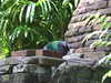 20120116113734-DSCF8349.JPG