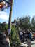 20120116115249-DSCF8355.JPG