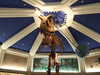 20120116125537-DSCF8364.JPG