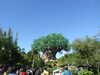 20120116145239-DSCF8373.JPG