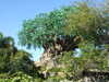 20120116145322-DSCF8376.JPG