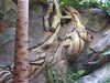 20120116145708-DSCF8378.JPG