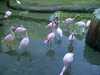 20120116165537-IMG-20120116-00020.jpg