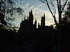 20120117172034-DSCF8456.JPG