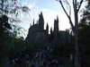 20120117172337-DSCF8463.JPG