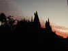 20120117180005-DSCF8486.JPG