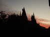 20120117180022-DSCF8489.JPG