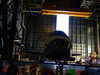 20120119131328-DSCF8627.JPG
