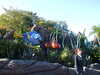 20120120161944-DSCF8697.JPG