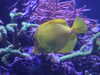 20120120163624-DSCF8705.JPG