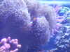 20120120163642-DSCF8706.JPG