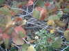 20120121142823-PICT0012.JPG