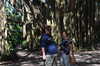 20120121161148-DSC_0460.JPG