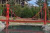 20120121171013-DSC_0494.JPG