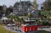 20120121171617-DSC_0513.JPG