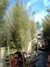 20120122050615-PICT0017.JPG
