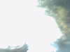 20120122050853-PICT0027.JPG