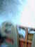 20120122050857-PICT0028.JPG