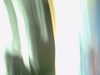 20120122050903-PICT0029.JPG