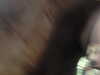 20120122050934-PICT0032.JPG