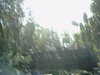 20120122051118-PICT0037.JPG