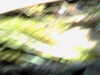 20120122072830-PICT0042.JPG