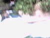 20120122073614-PICT0045.JPG